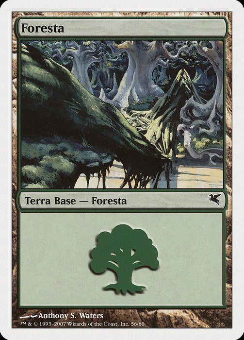 Foresta - Forest