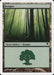 Bosque - Forest