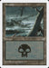 Swamp