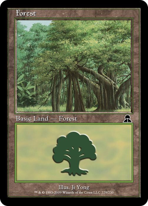Forest