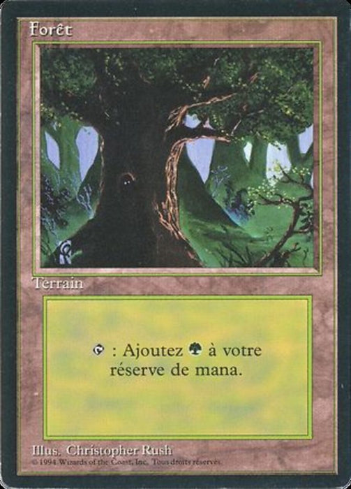 Forêt - Forest
