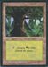 Forêt - Forest