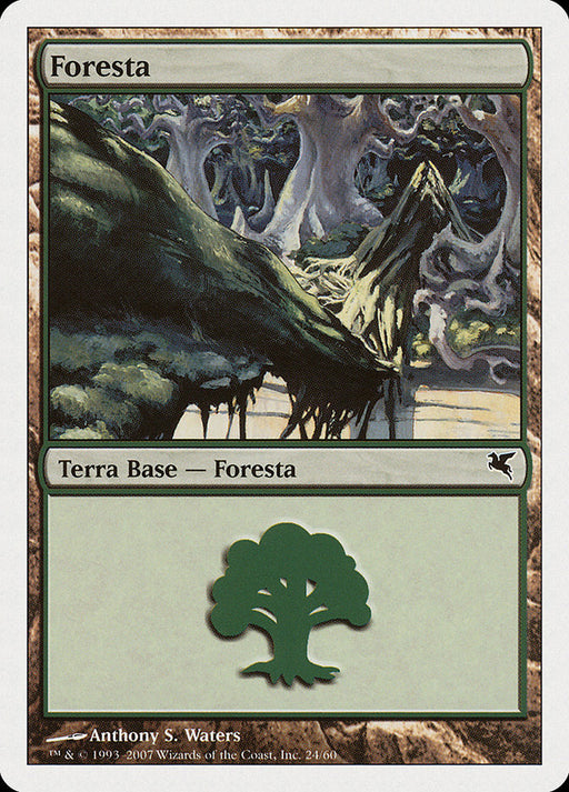 Foresta - Forest
