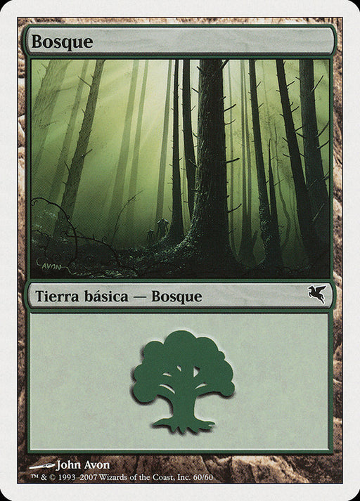 Bosque - Forest