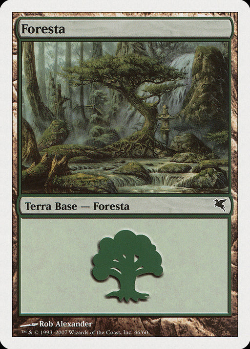 Foresta - Forest