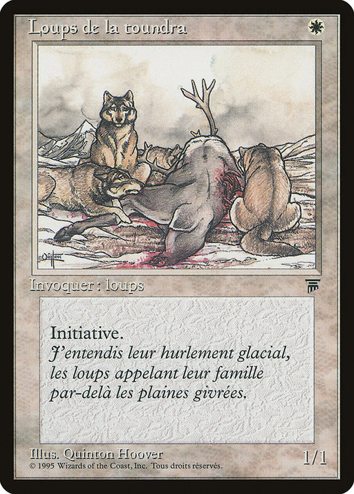 Loups de la toundra - Tundra Wolves