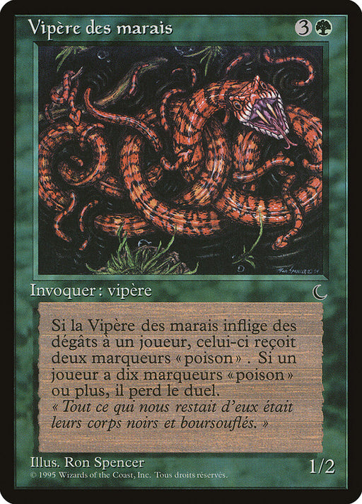 Vipère des marais - Marsh Viper