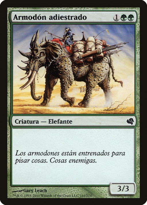 Armodón adiestrado - Trained Armodon