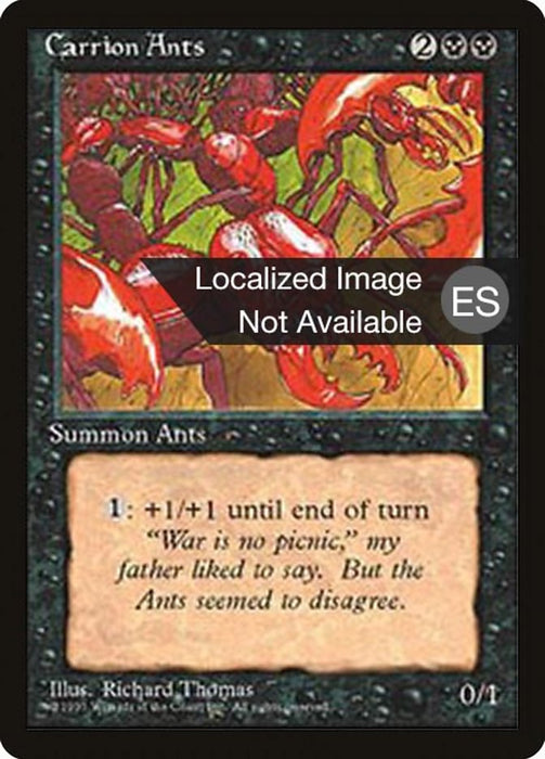 Hormigas carroñeras - Carrion Ants