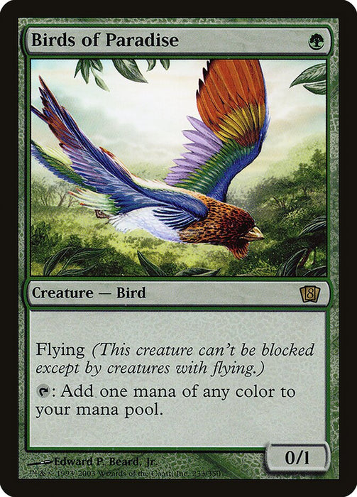 Birds of Paradise (Foil)