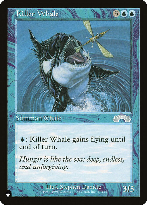 Killer Whale - Retro Frame