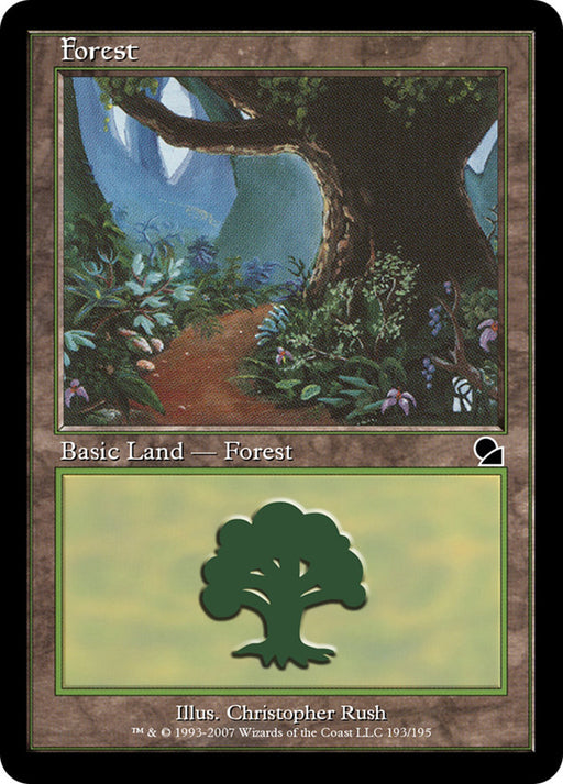 Forest (Foil)
