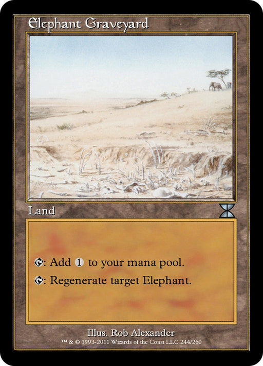 Elephant Graveyard - Retro Frame