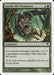 Assalto del Predatore - Predator's Strike