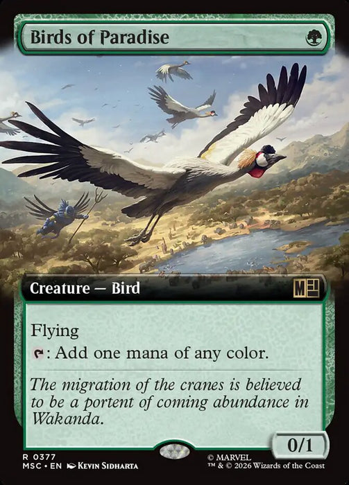 Birds of Paradise - Extended Art