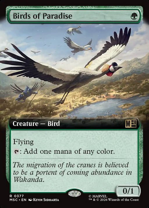 Birds of Paradise - Extended Art
