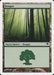Bosque - Forest