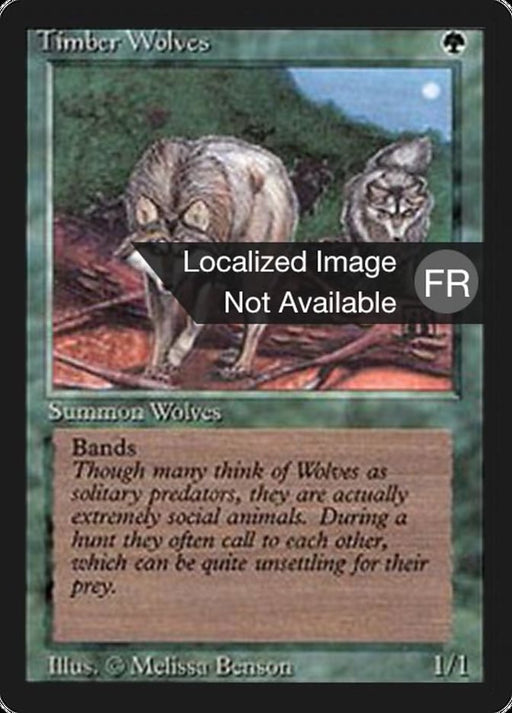 Loups des forêts - Timber Wolves