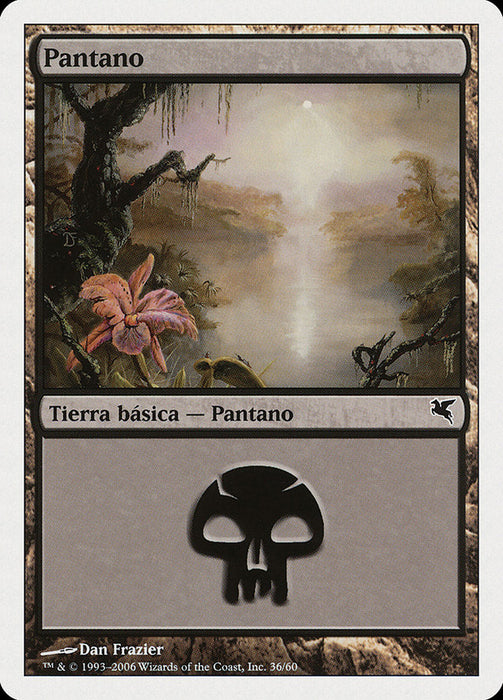 Pantano - Swamp
