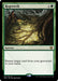 Regrowth (Foil)