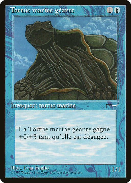 Tortue marine géante - Giant Tortoise
