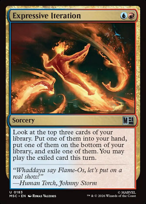 Expressive Iteration - Surge Foil