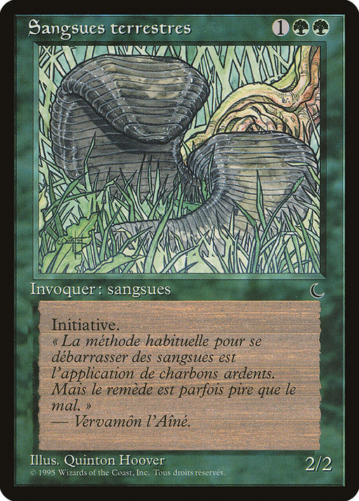 Sangsues terrestres - Land Leeches