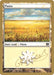 Plains