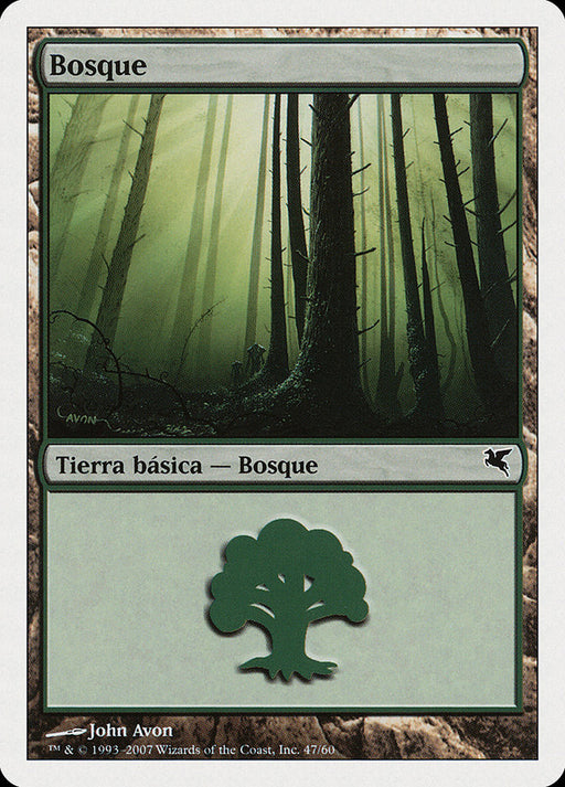 Bosque - Forest