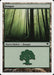 Bosque - Forest