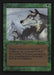 Aspect of Wolf