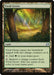 Vivid Grove