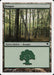 Bosque - Forest