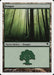 Bosque - Forest