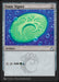 Simic Signet