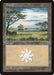 Plains