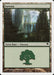 Foresta - Forest