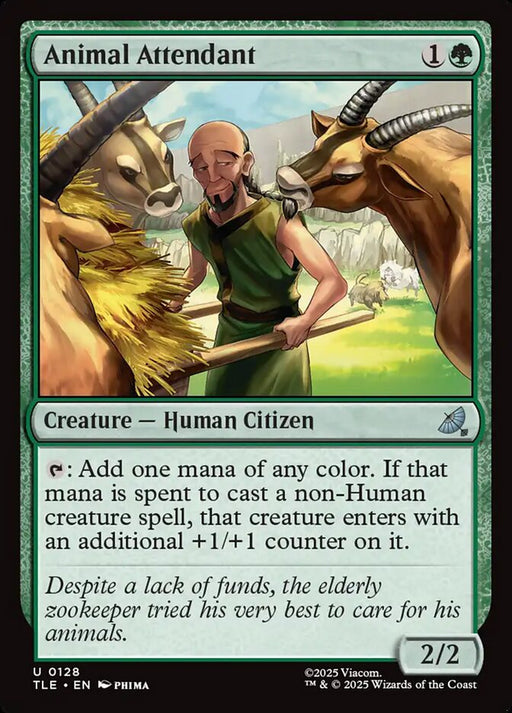 Animal Attendant