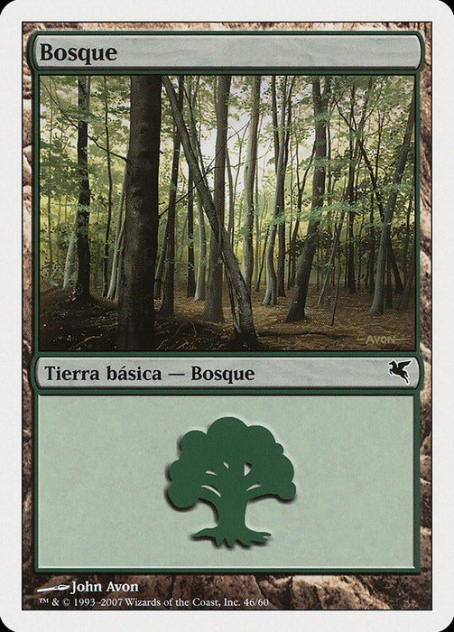 Bosque - Forest