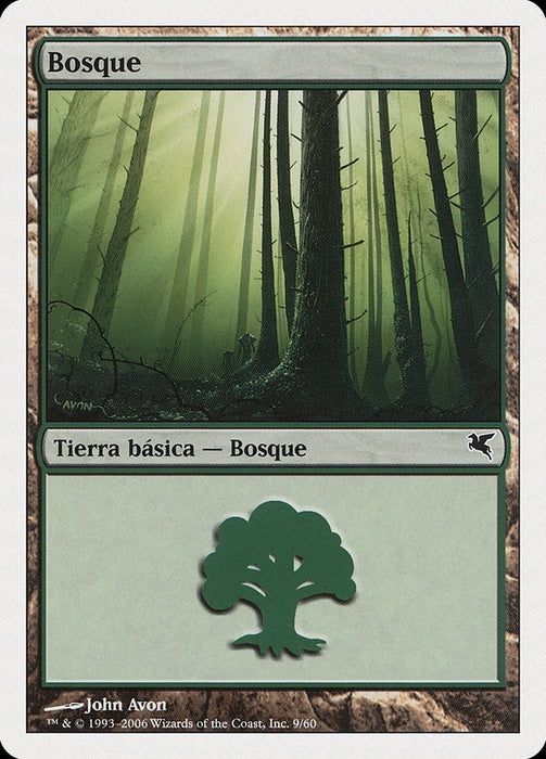 Bosque - Forest