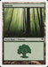 Foresta - Forest