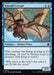 Kitesail Corsair (Foil)