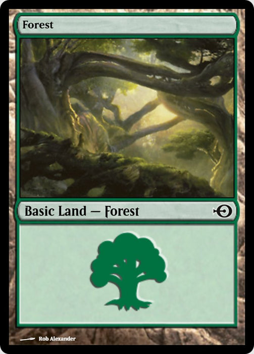 Forest (Foil)