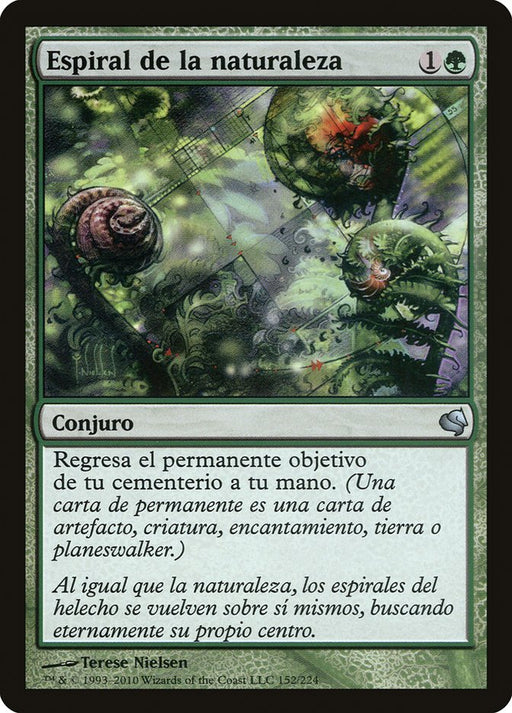 Espiral de la naturaleza - Nature's Spiral