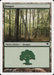 Bosque - Forest
