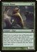 Grizzly Bears (Foil)