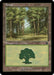 Forest - Retro Frame