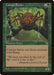 Canopy Spider