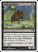 Ratas gorjeantes - Chittering Rats
