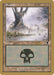 Swamp